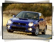 Subaru Impreza, Niebieskie