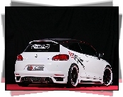 VW Scirocco, Tuning