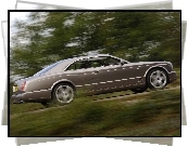 Bentley Brooklands, Eleganckie, Coupe
