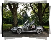 Mercedes SLR, Otwarte, Drzwi