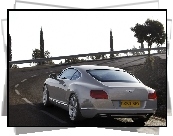 Tył, Bentley Continental GT, Rury, Wydechowe