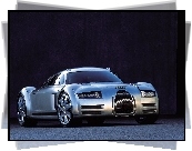 Audi Rosemeyer, Concept, Car
