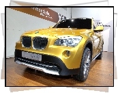 BMW X1, Salon, Concept, Car