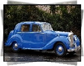 Zabytkowy, Niebieski Rolls Royce, Ulica, Drzewa