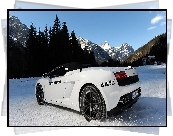Białe, Lamborghini, Gallardo, Zima, Góry, Drzewa