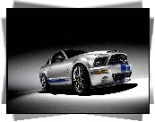 Ford Mustang, GT500, Shelby