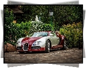 Bugatti Veyron, Auto, Posesja, Dom