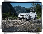 Białe, BMW X1 xDrive 28i, 2017, Góry
