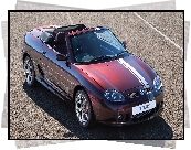 MG TF 85th Anniversary Limited Edition, 2009