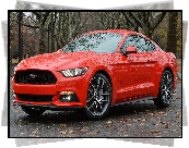 Czerwony, Ford Mustang, Coupe