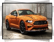 Ford Mustang, High Performance Package