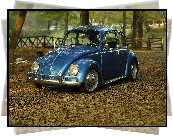 Volkswagen Beetle, Garbus, Park
