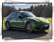 Zielone, Porsche Panamera S, Bok