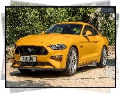 Żółty, Ford Mustang GT, 2018