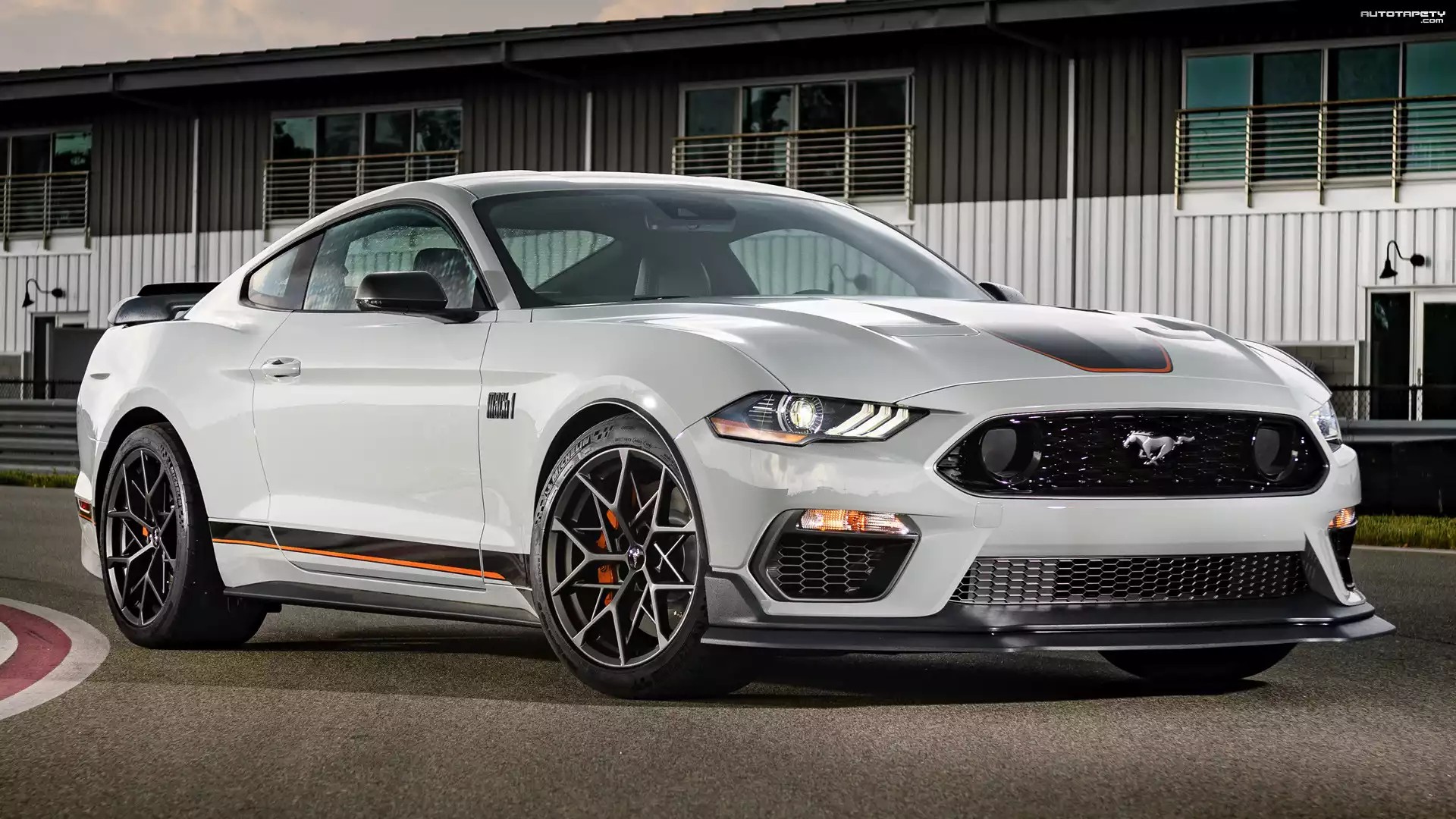 Ford Mustang Mach 1 Handling Package