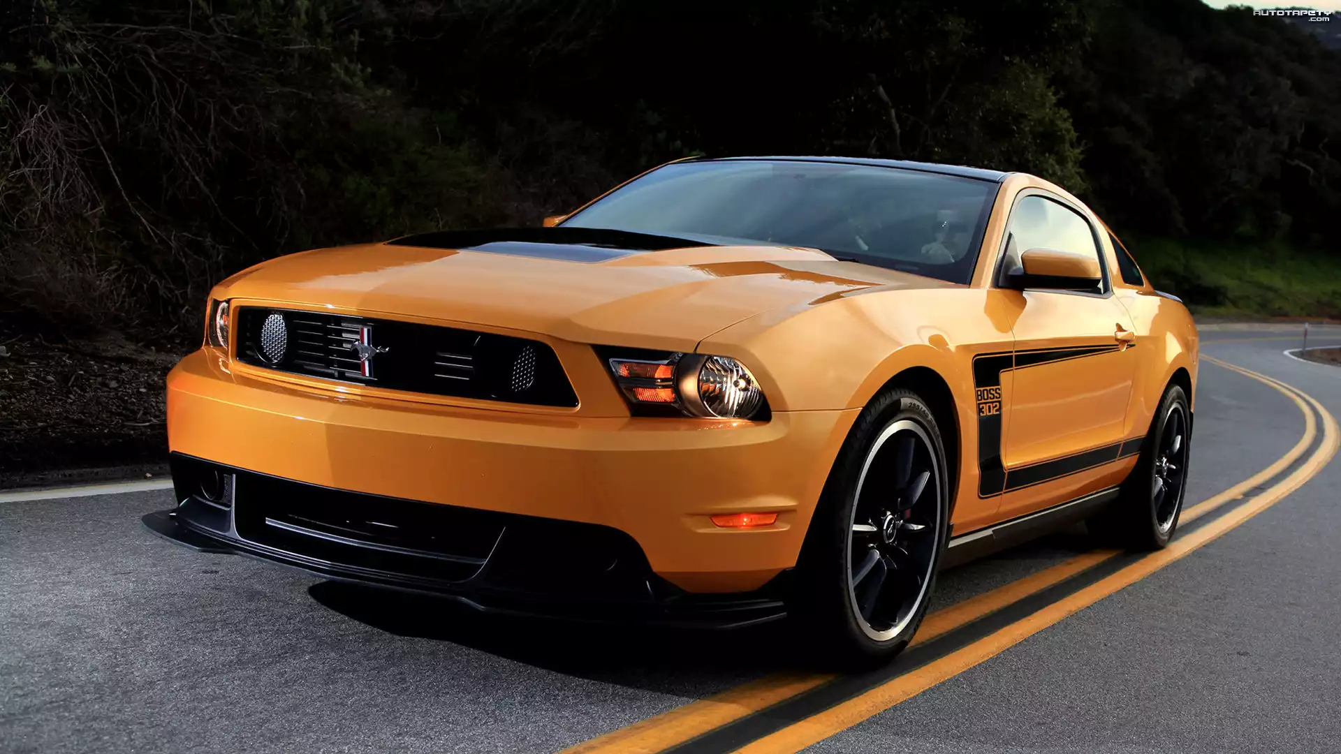 Ford Mustang Boss 302, 1970, Zabytkowy