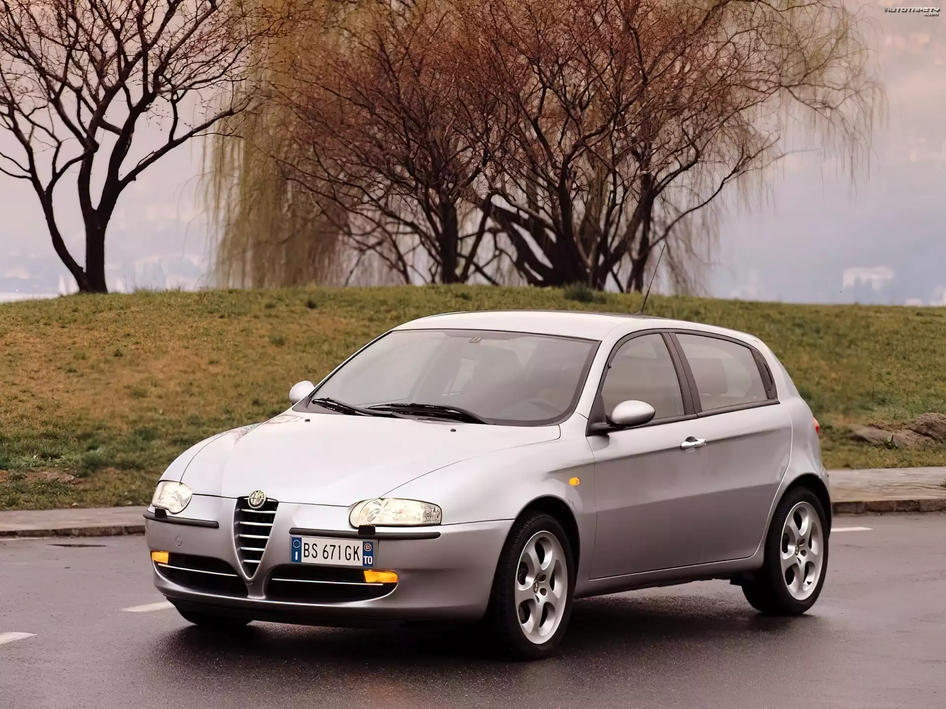 Alfa Romeo 147, Wierzba
