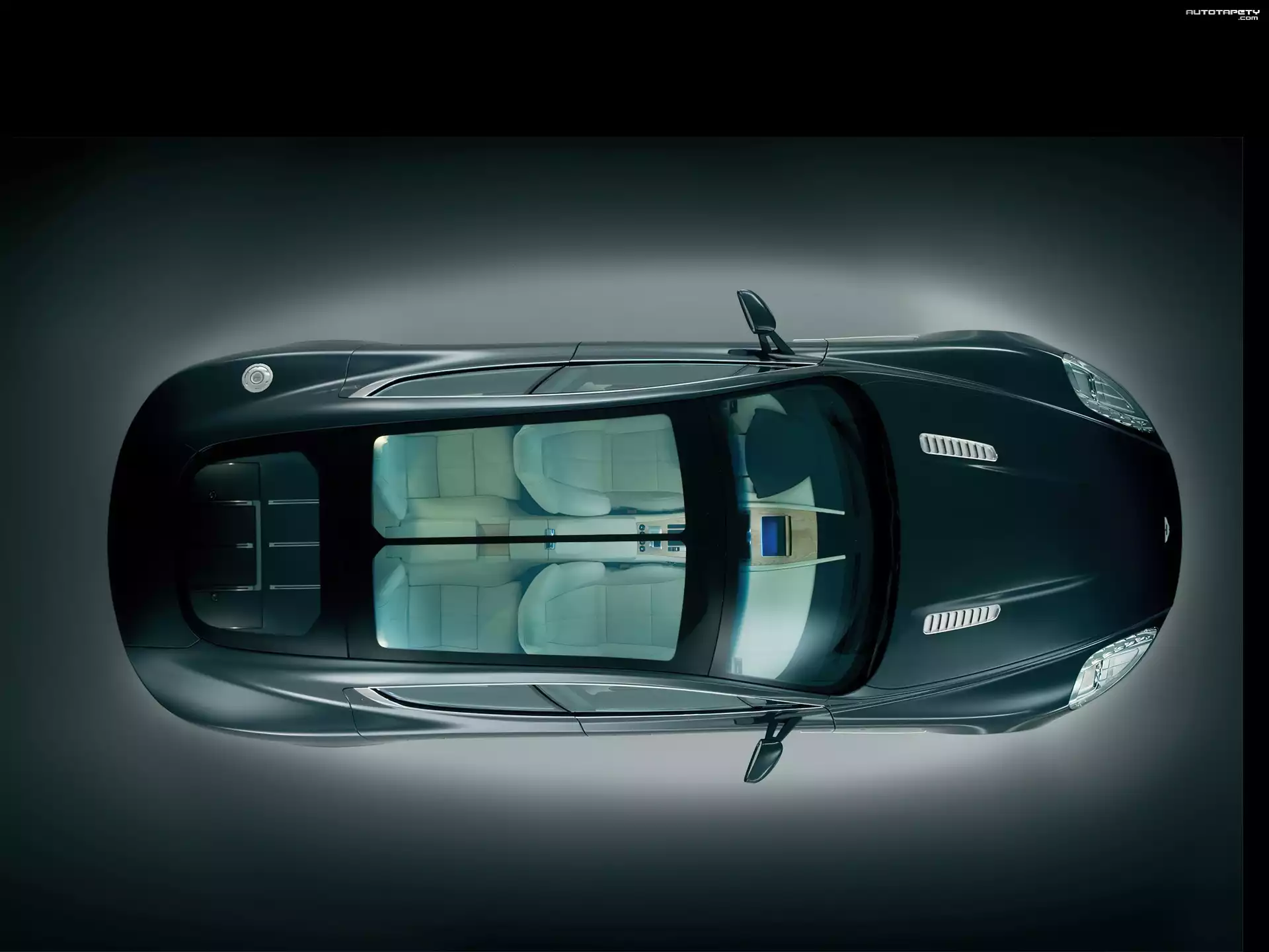 Aston Martin Rapide, Szklany, Dach