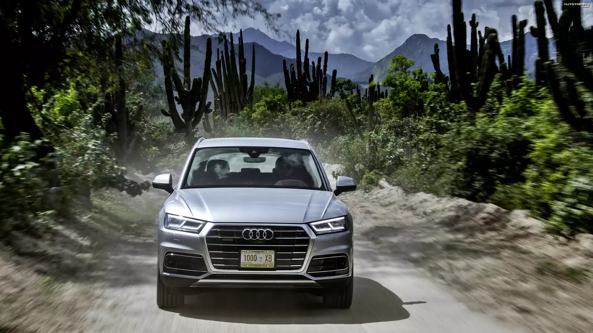 Audi Q5 3.0 TDI Quattro, SUV, Florett Silver, 2017, Droga, Rośliny, Kaktusy