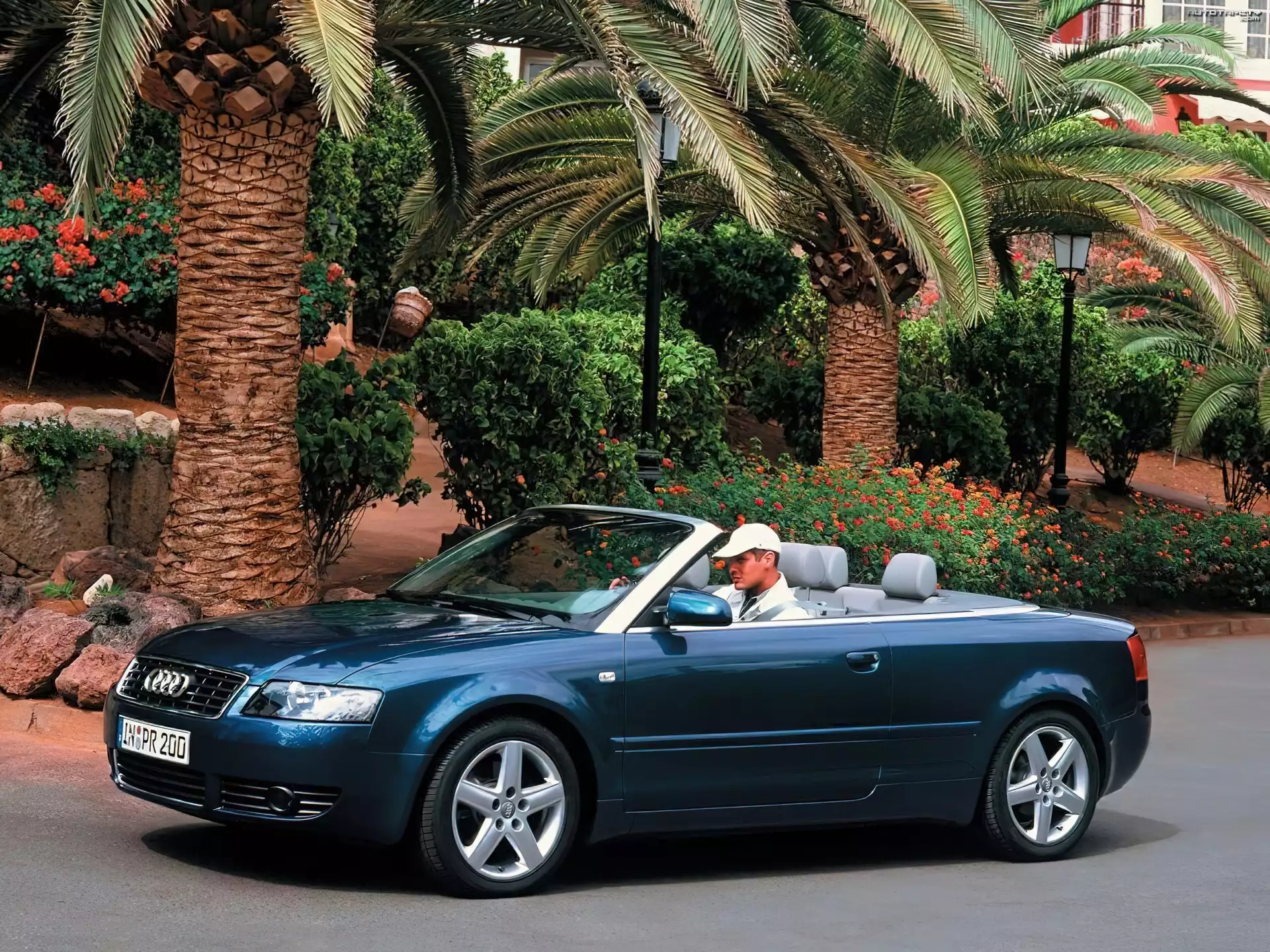 Audi A4, Cabrio, Palmy
