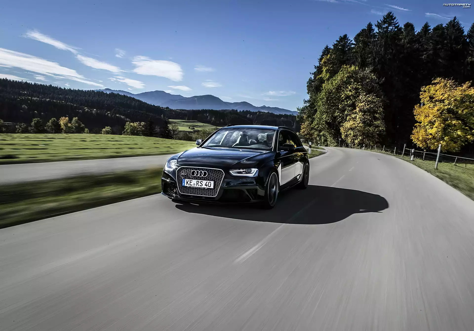 Audi, RS4, Droga, Drzewa
