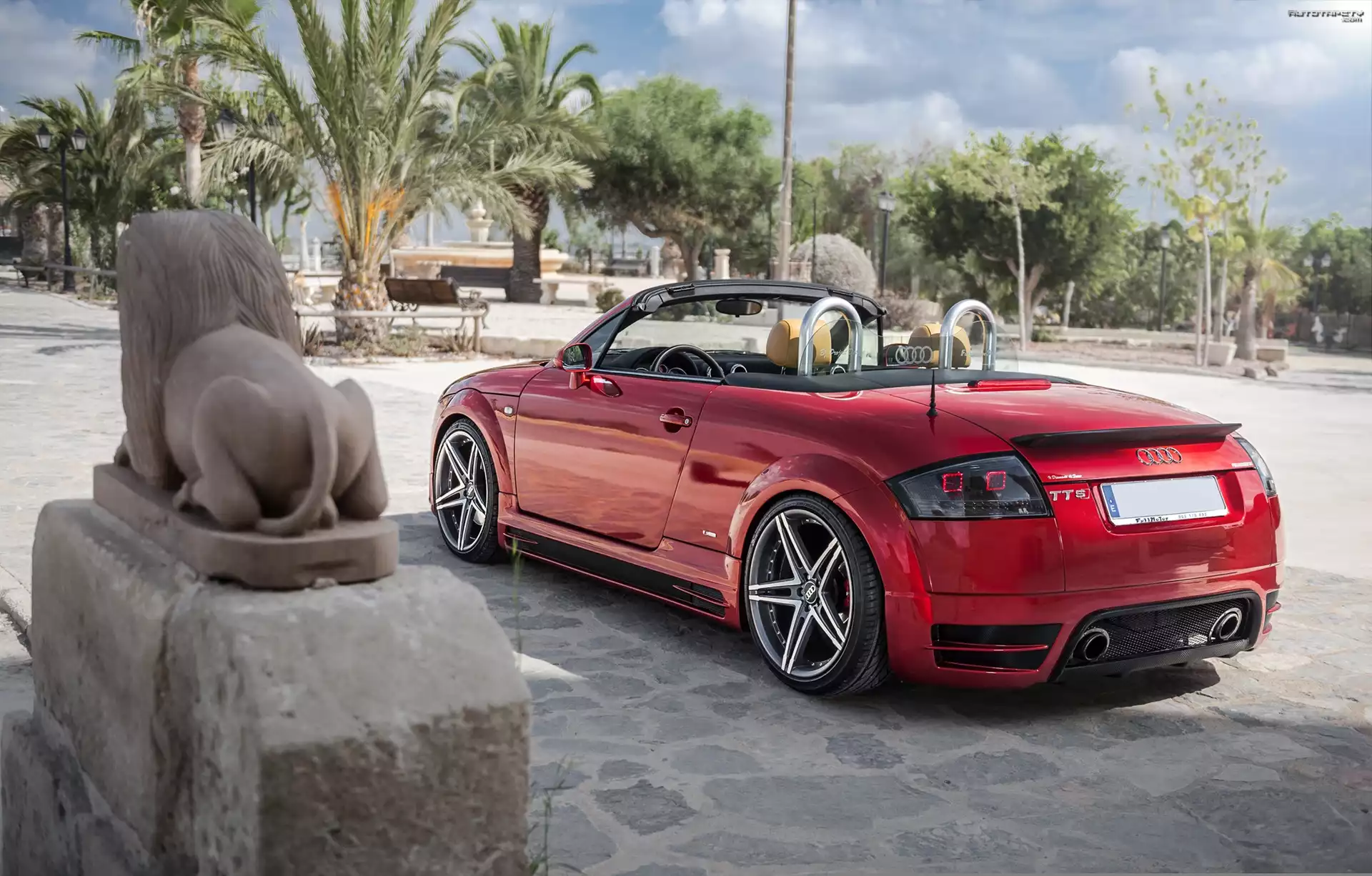 Audi TT, Drzewa, Palmy, Pomnik