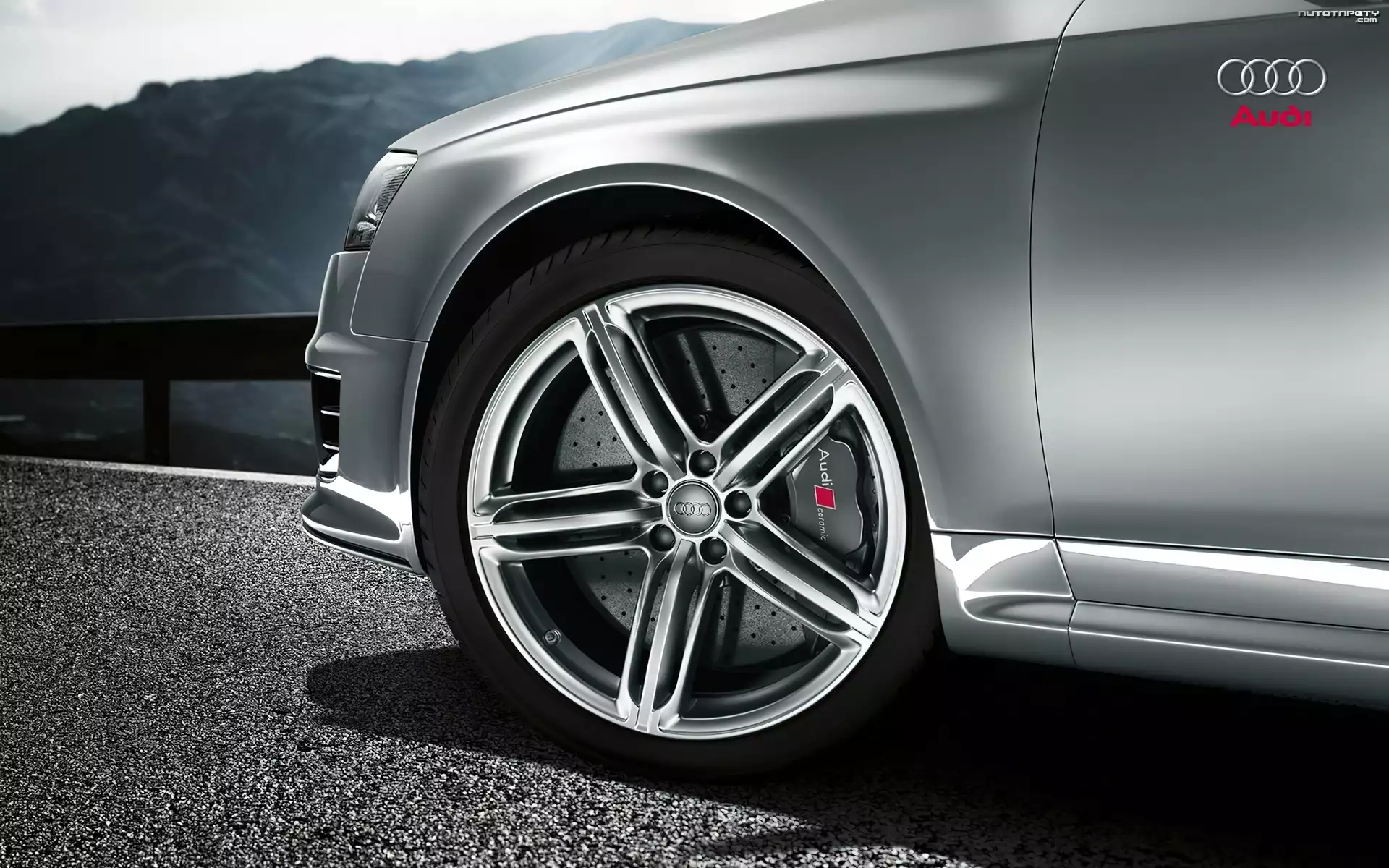Audi RS, Tarcza, Hamulcowa