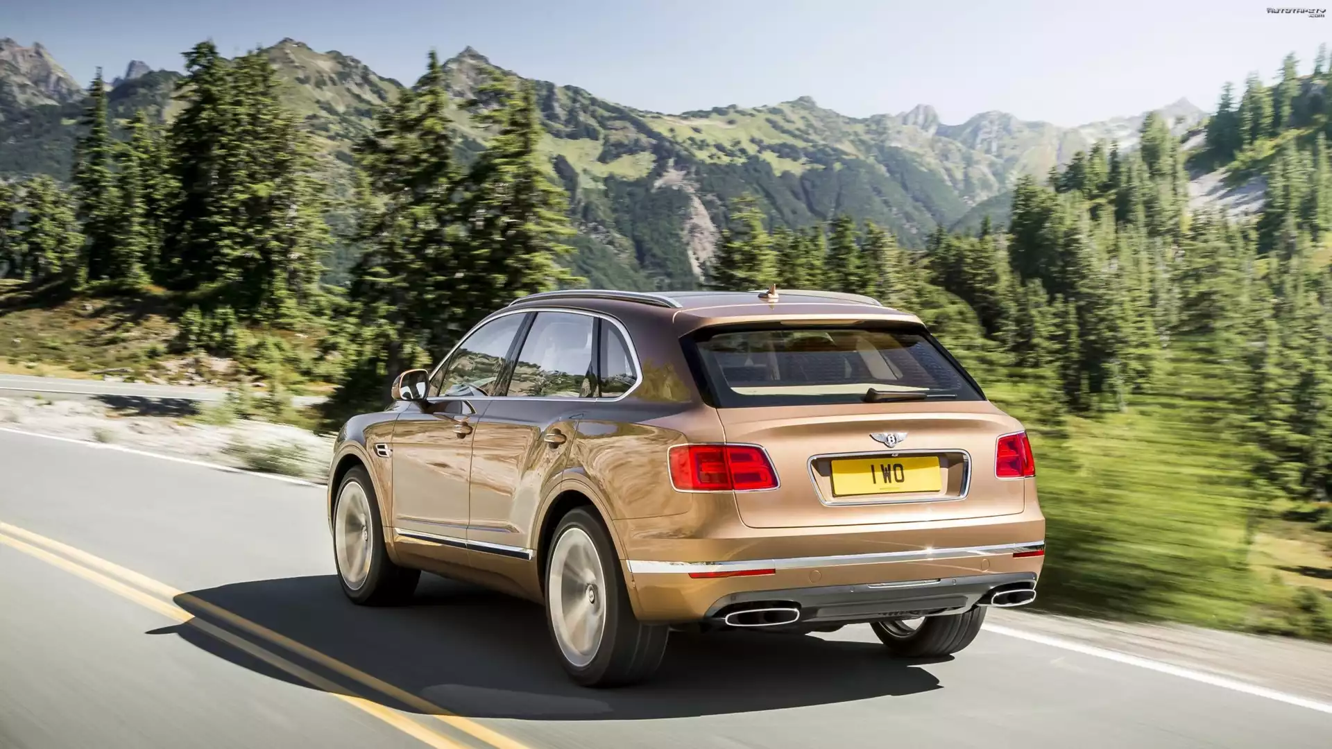 Bentley Bentayga, Tył, Droga, Góry