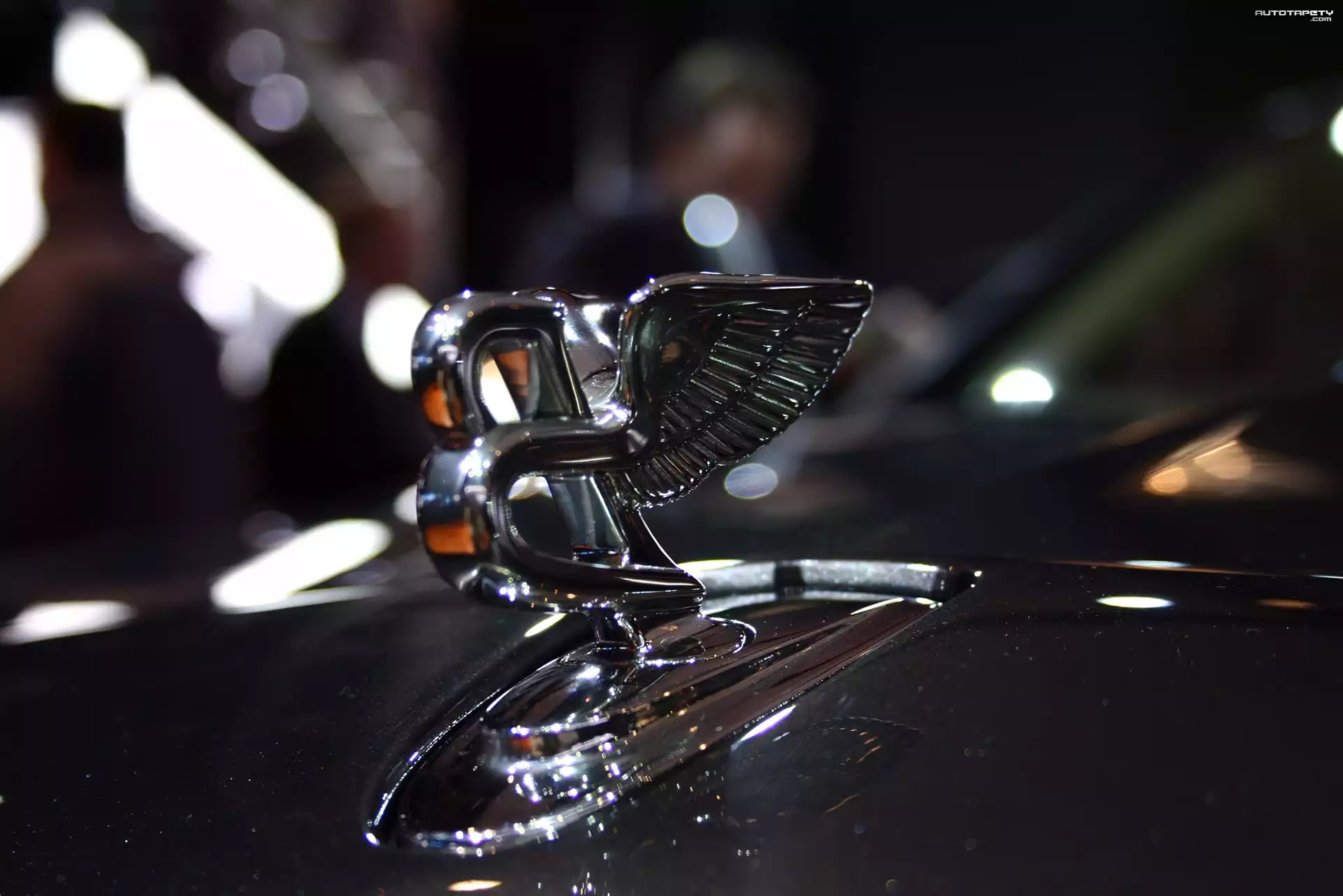 Emblemat, Bentley Mulsanne