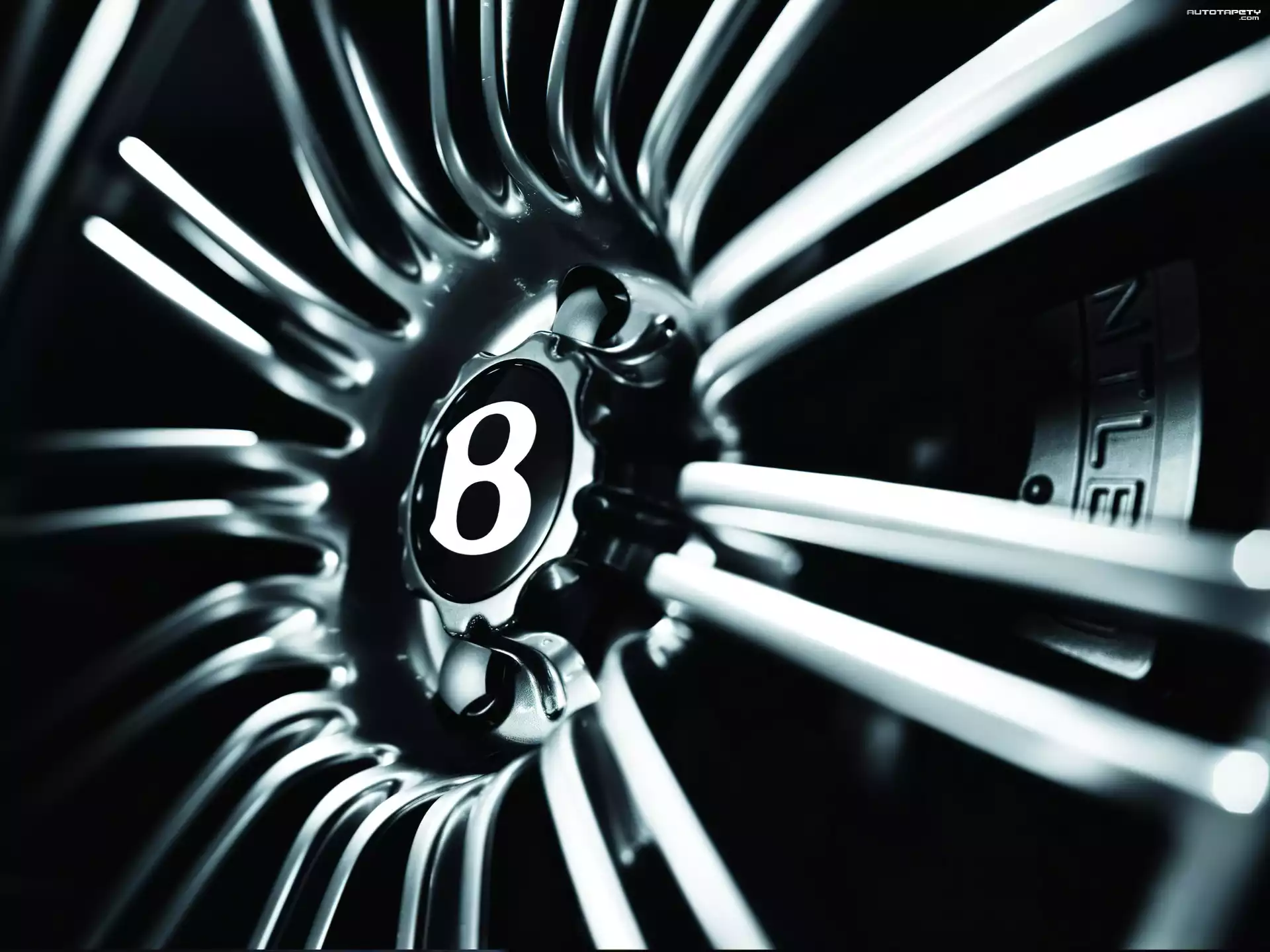 Bentley Continental, Felga, Logo