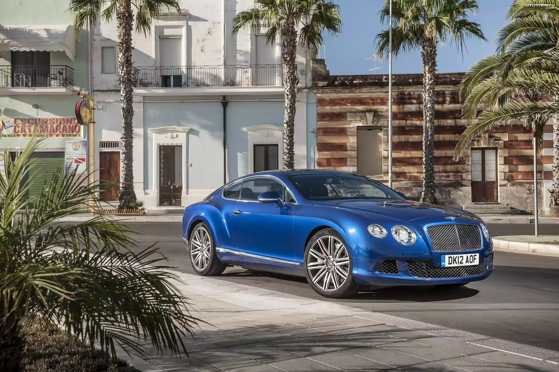 Niebieski, Bentley, Continental, GT Speed, Dom, Palmy