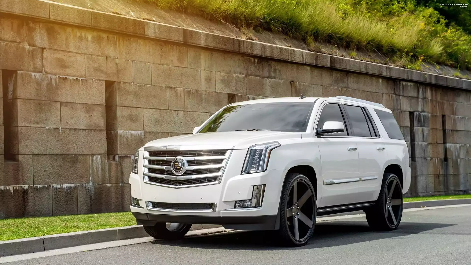 Biały, Cadillac Escalade, 2015