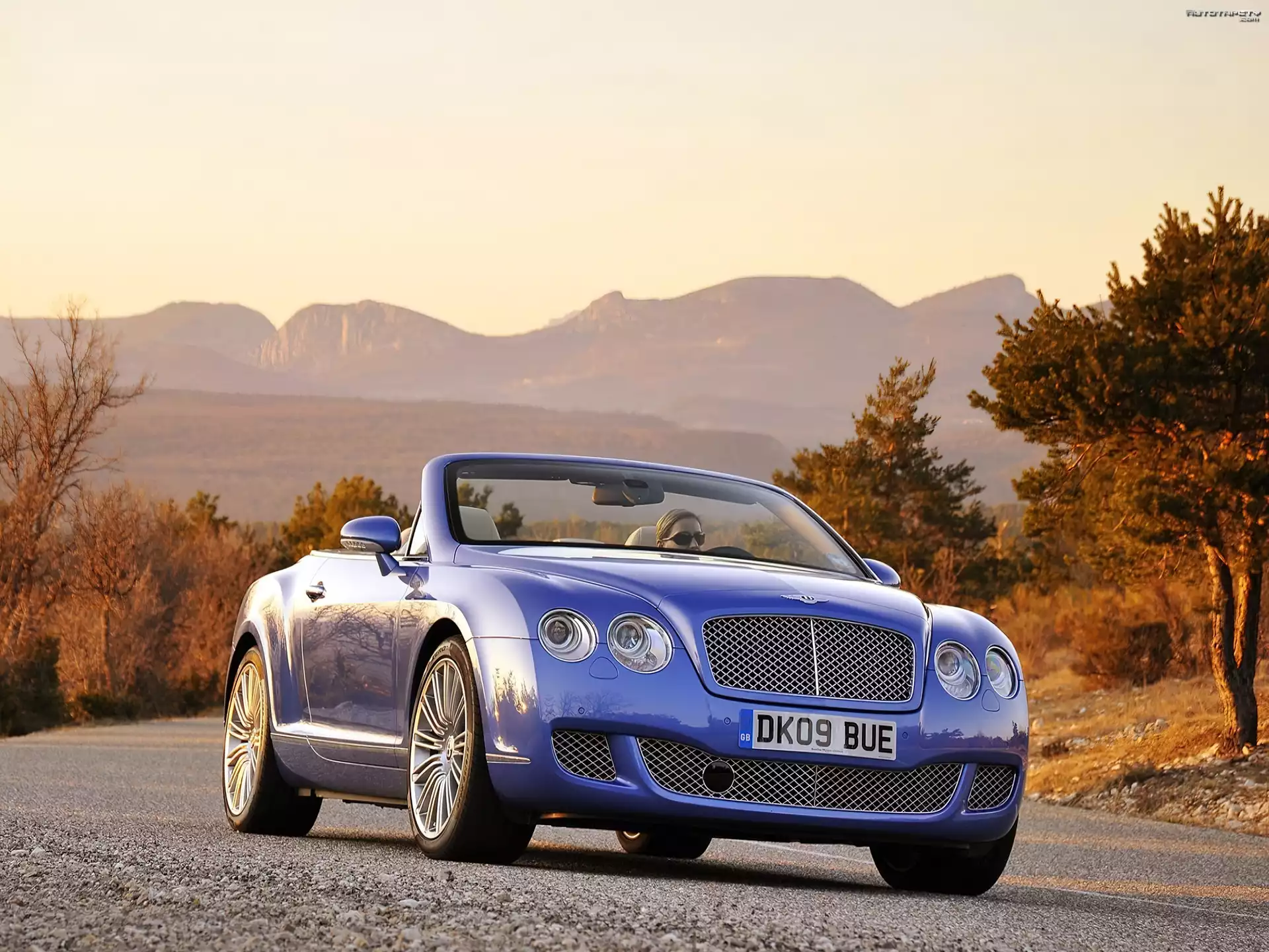 Błękitny, Bentley Continental GTC