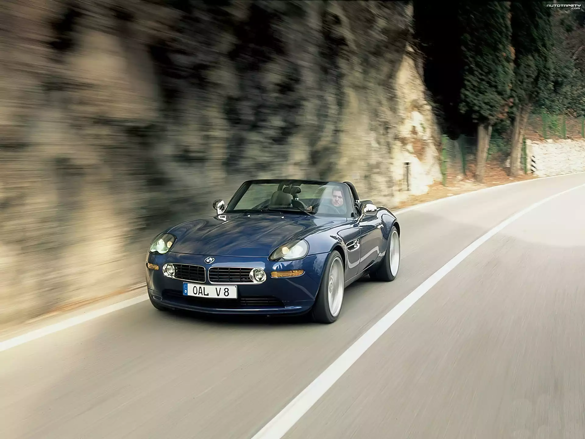 Alpina, BMW Z8