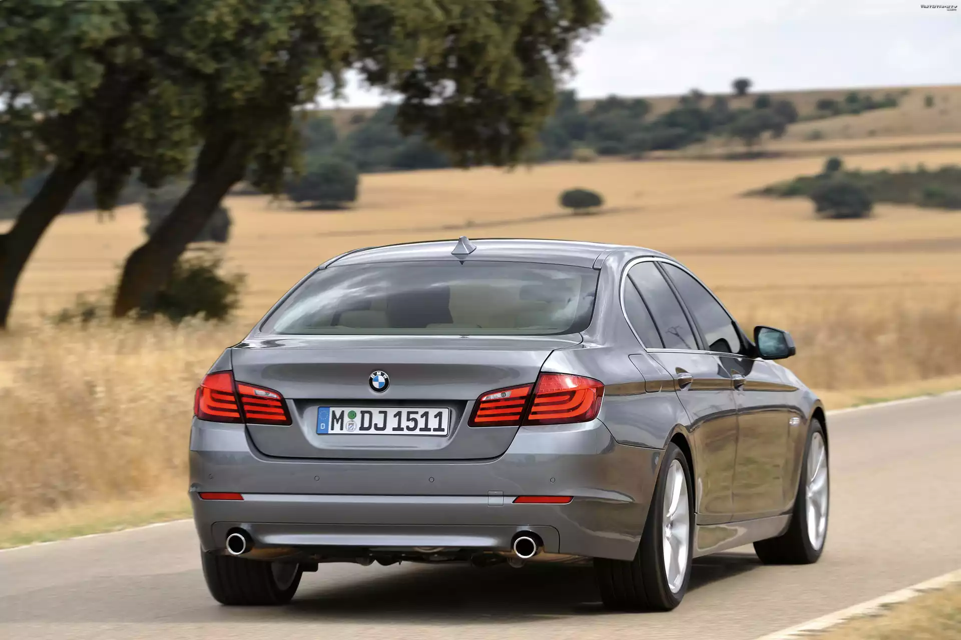 Tył, BMW seria 5 F10, Rury, Wydechowe