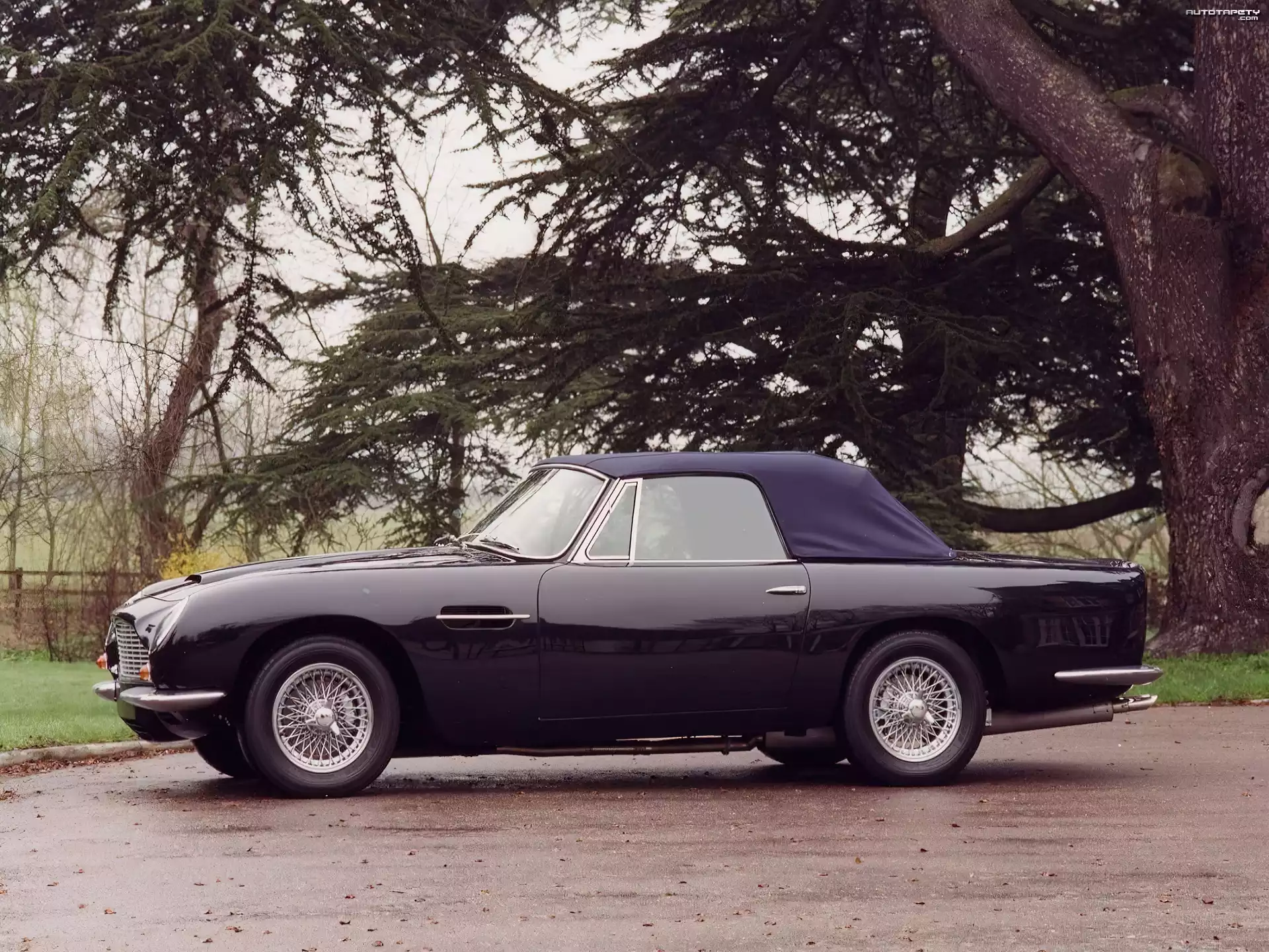 Bok, Samochodu, Aston Martin DB6, Volante