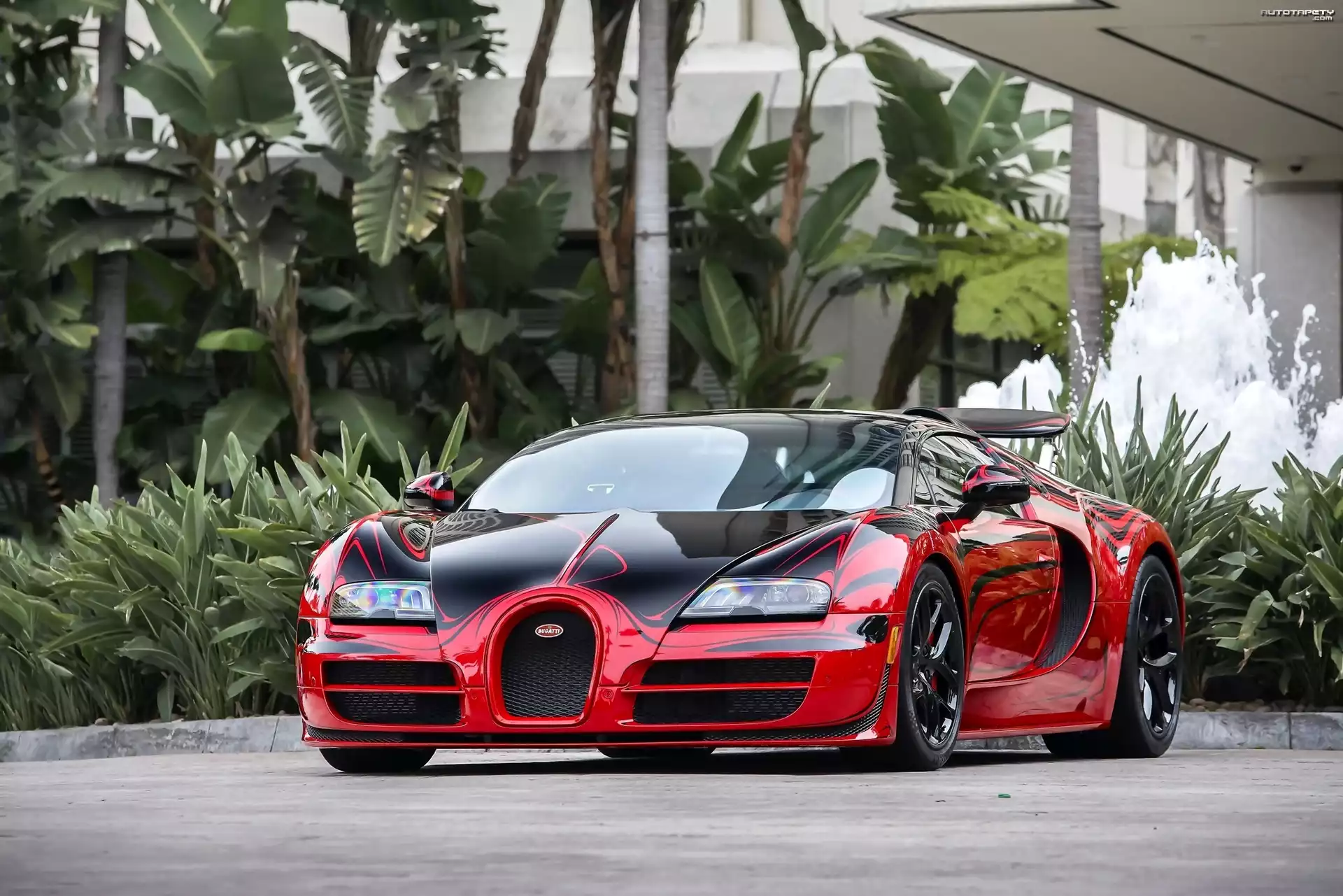 Bugatti Veyron Hellbug, Samochód, Sportowy