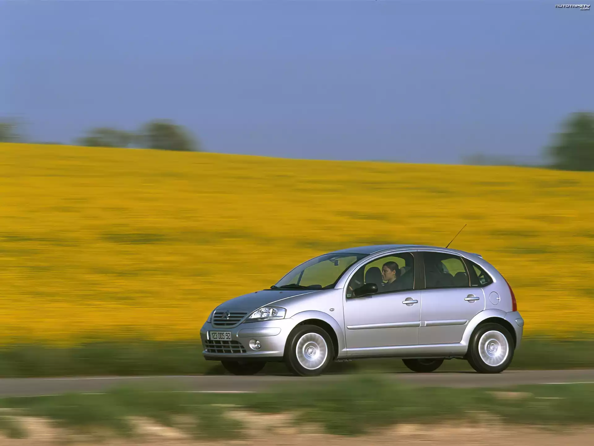 Citroen C3, Łąka