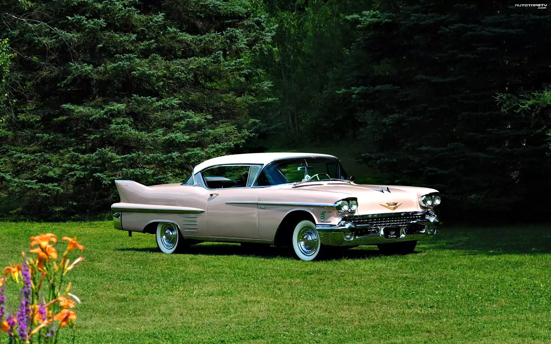 Zabytkowy, Cadillac Series 62 Coupe De Ville, 1958