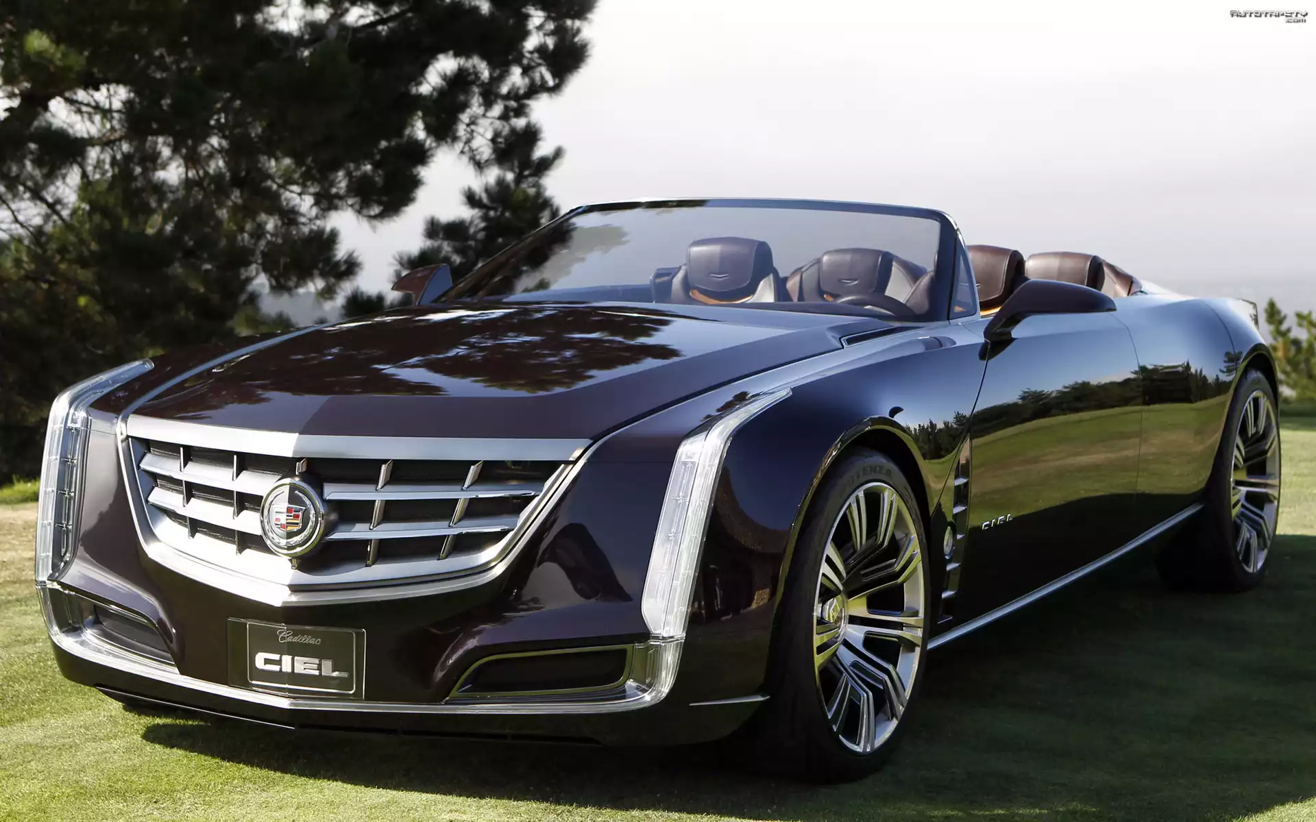 Czarny, Cadillac Ciel, Kabriolet