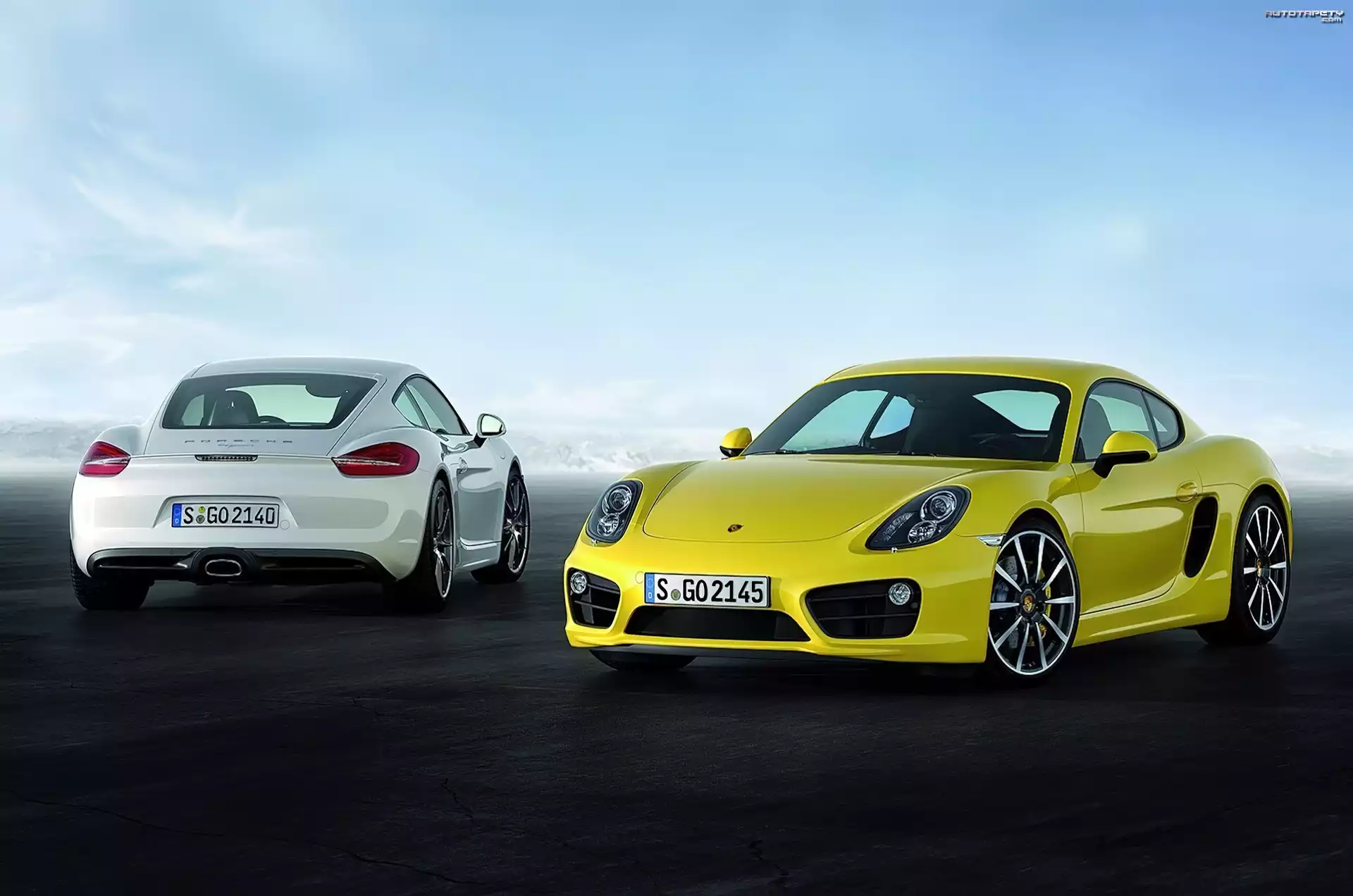 Porsche Cayman S