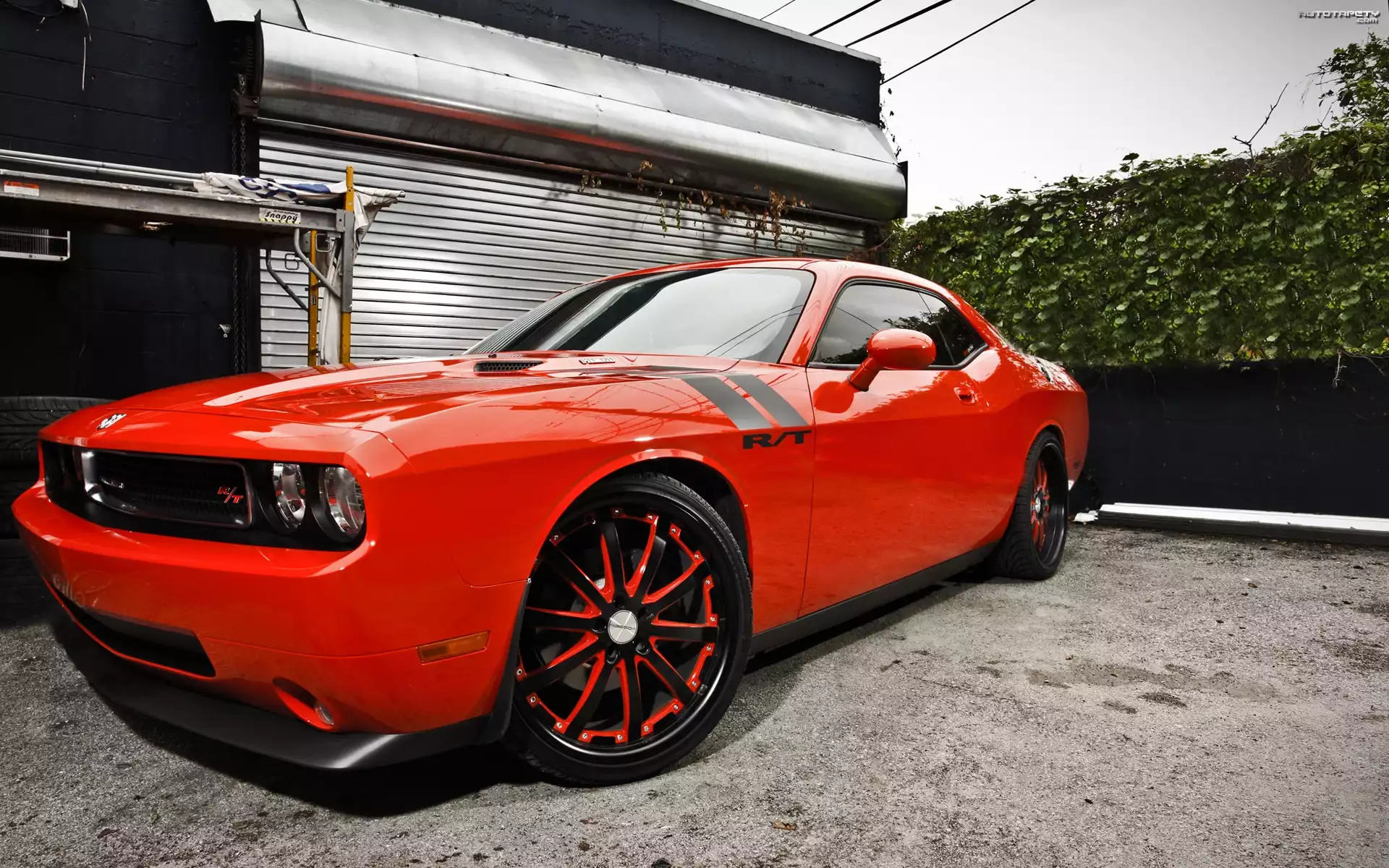 Dodge, Challenger, R/T, Pomarańczowy, Duże, Felgi