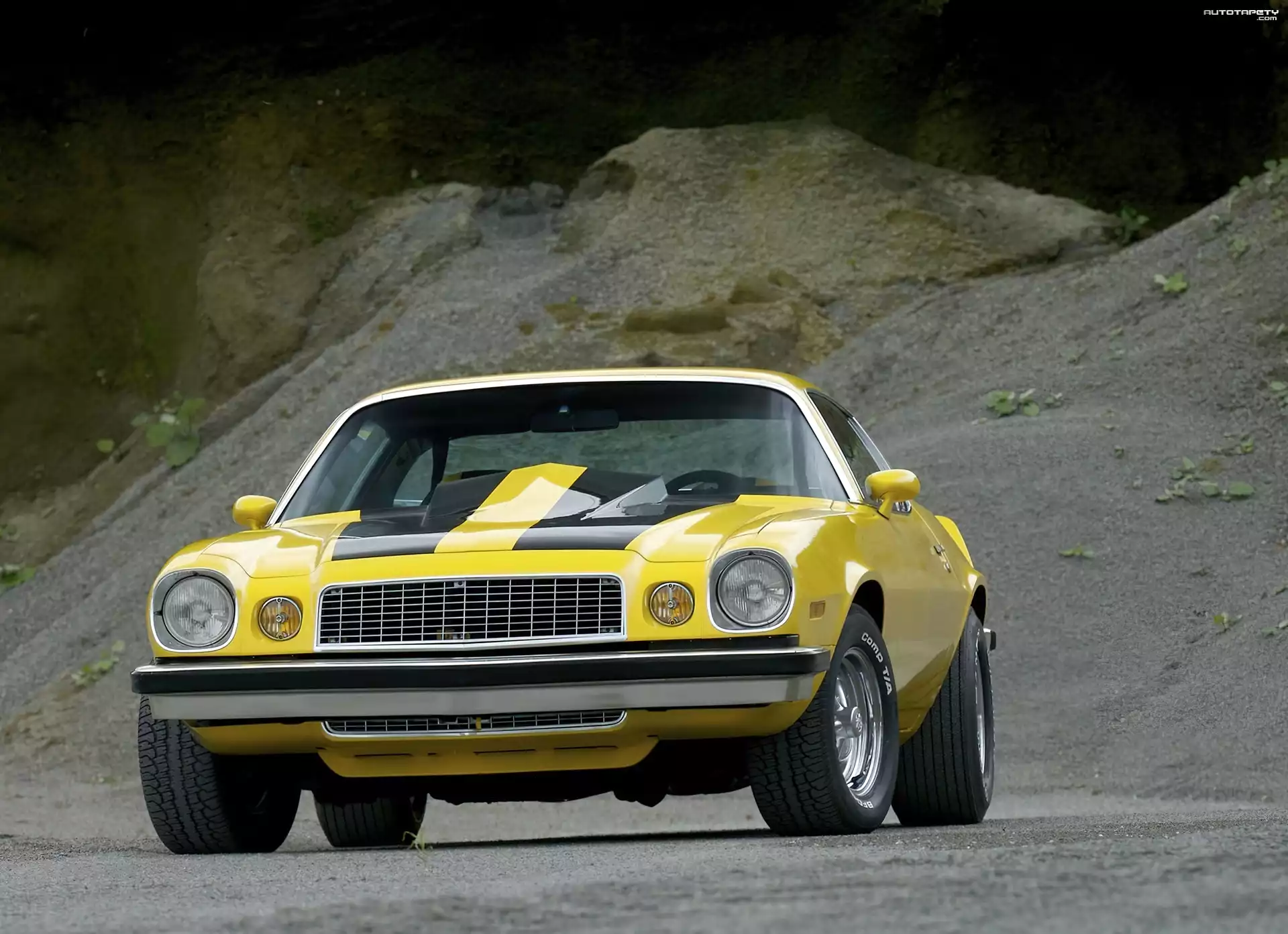 Żółty, Chevrolet Camaro