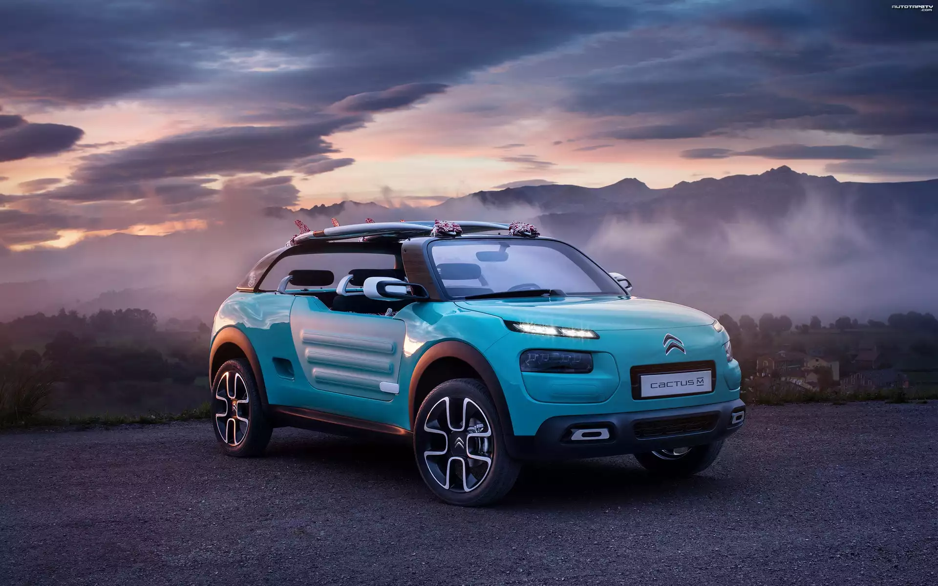 Citroen Cactus M Concept, 2015