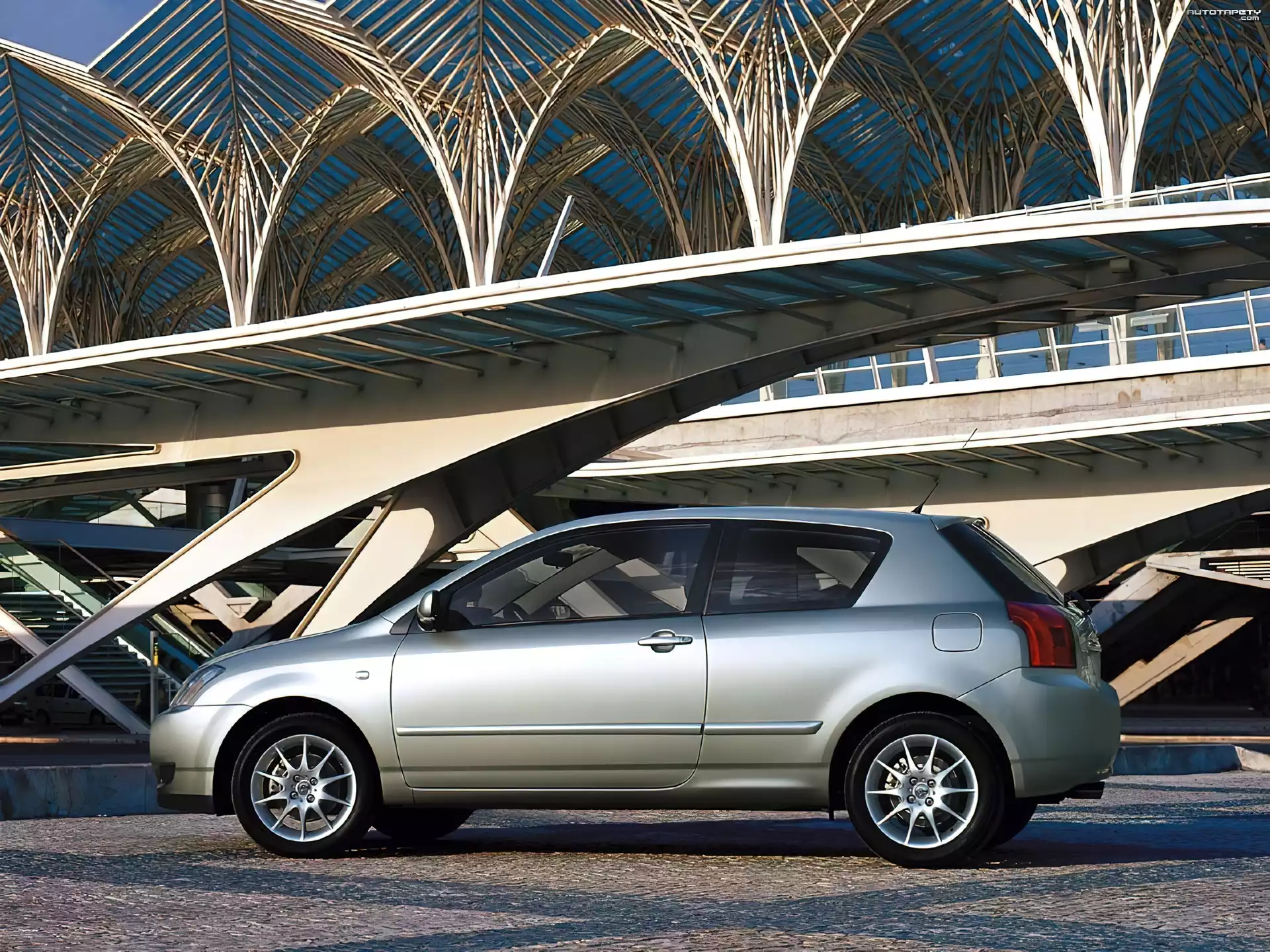 Toyota Corolla, Sport