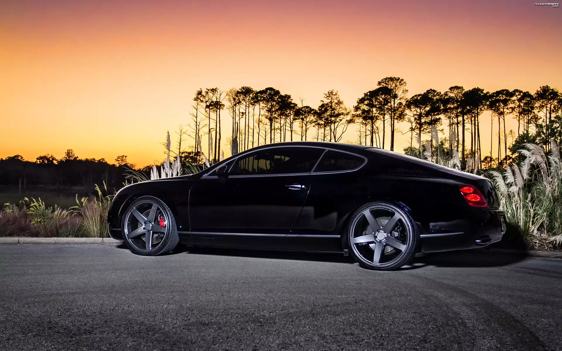 Czarny, Bentley, Continental, GT