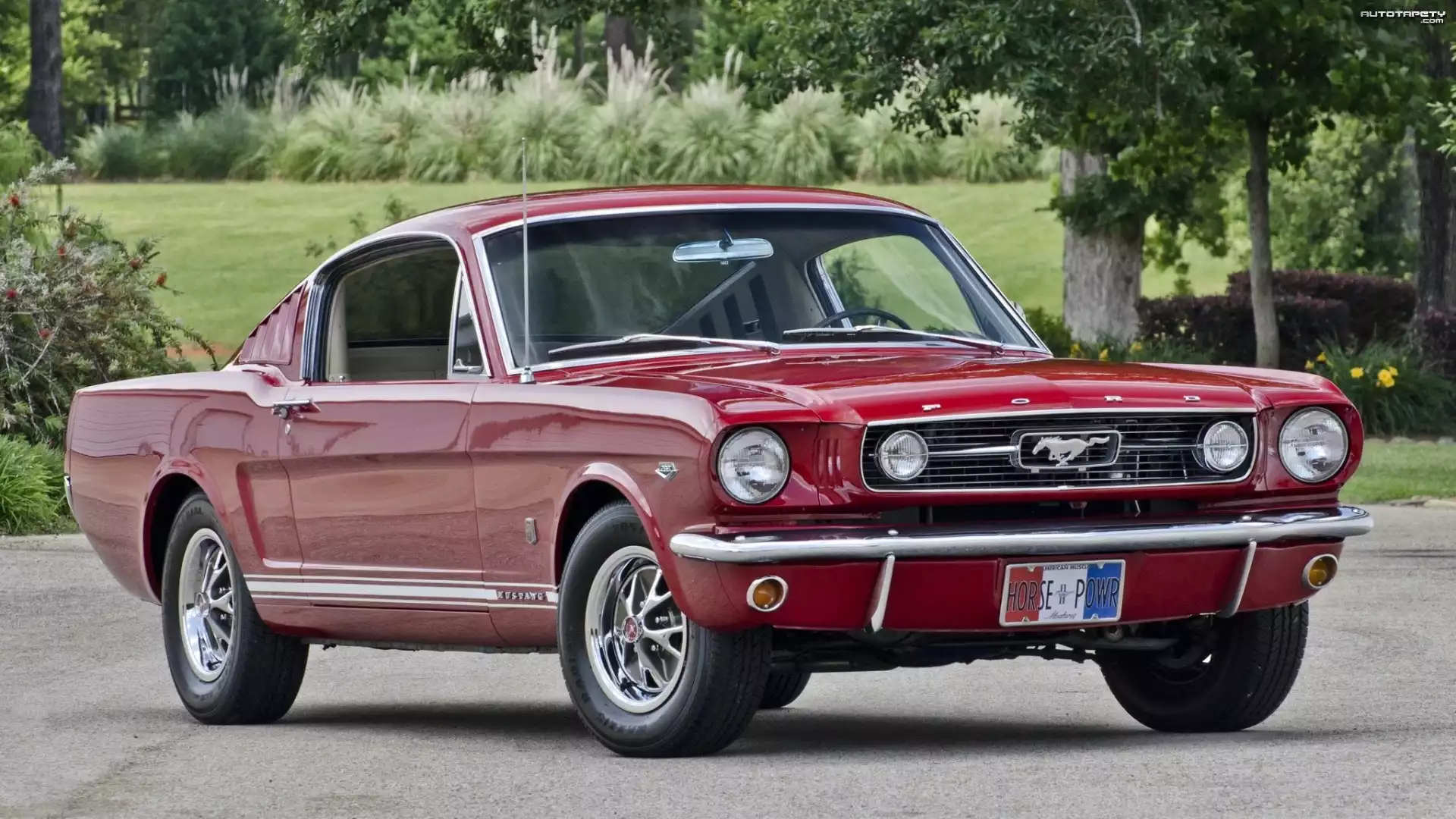 Czerwony, Ford Mustang, 1966, Zabytkowy