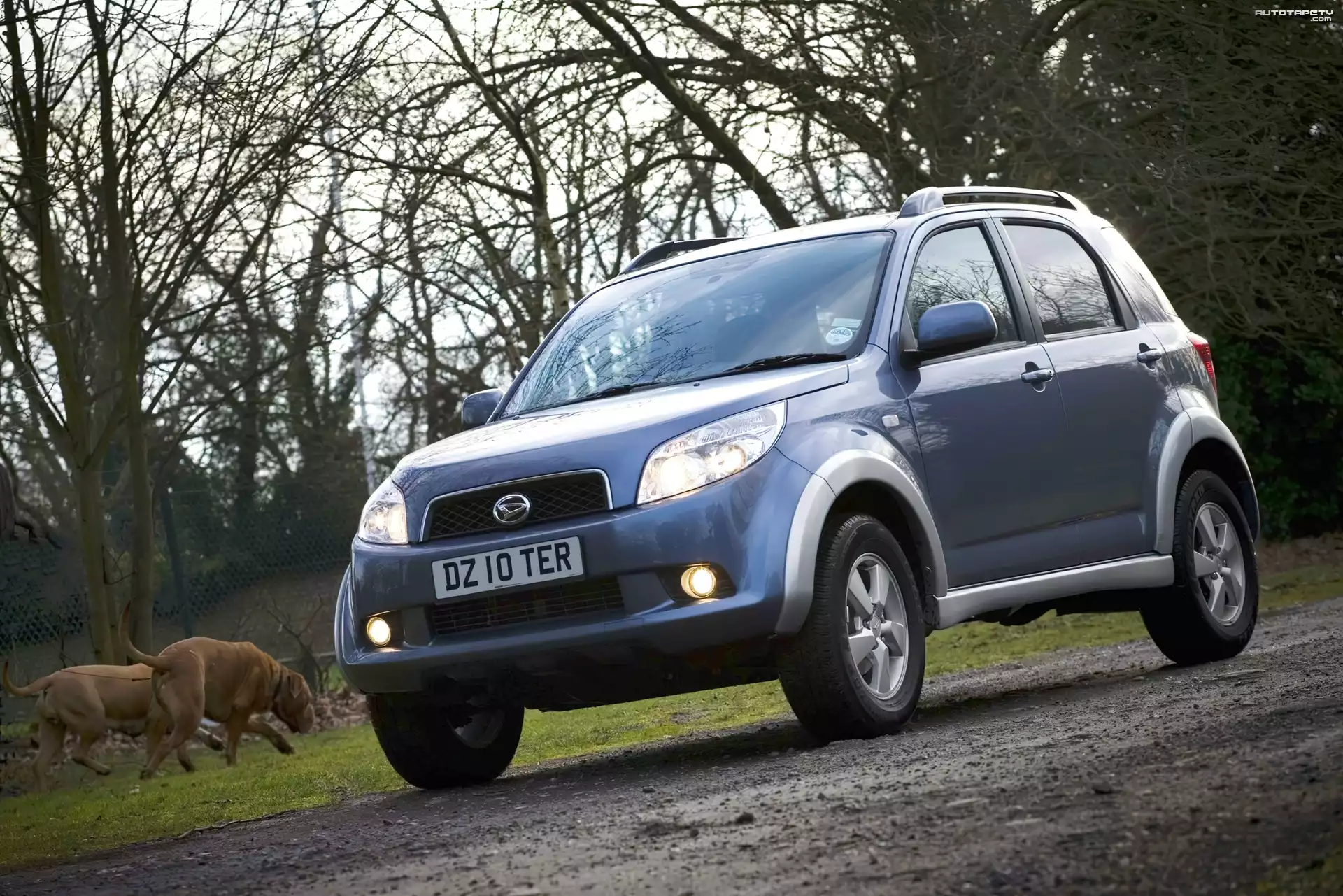Daihatsu Terios, Polna, Droga