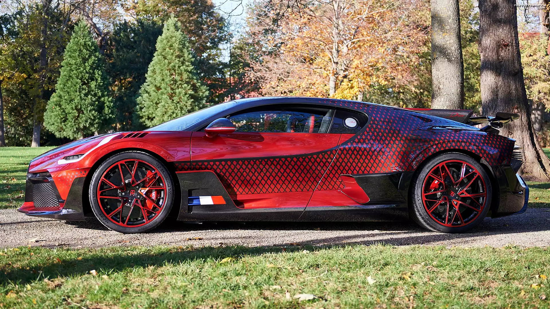 Bugatti Divo Lady Bug, Bok