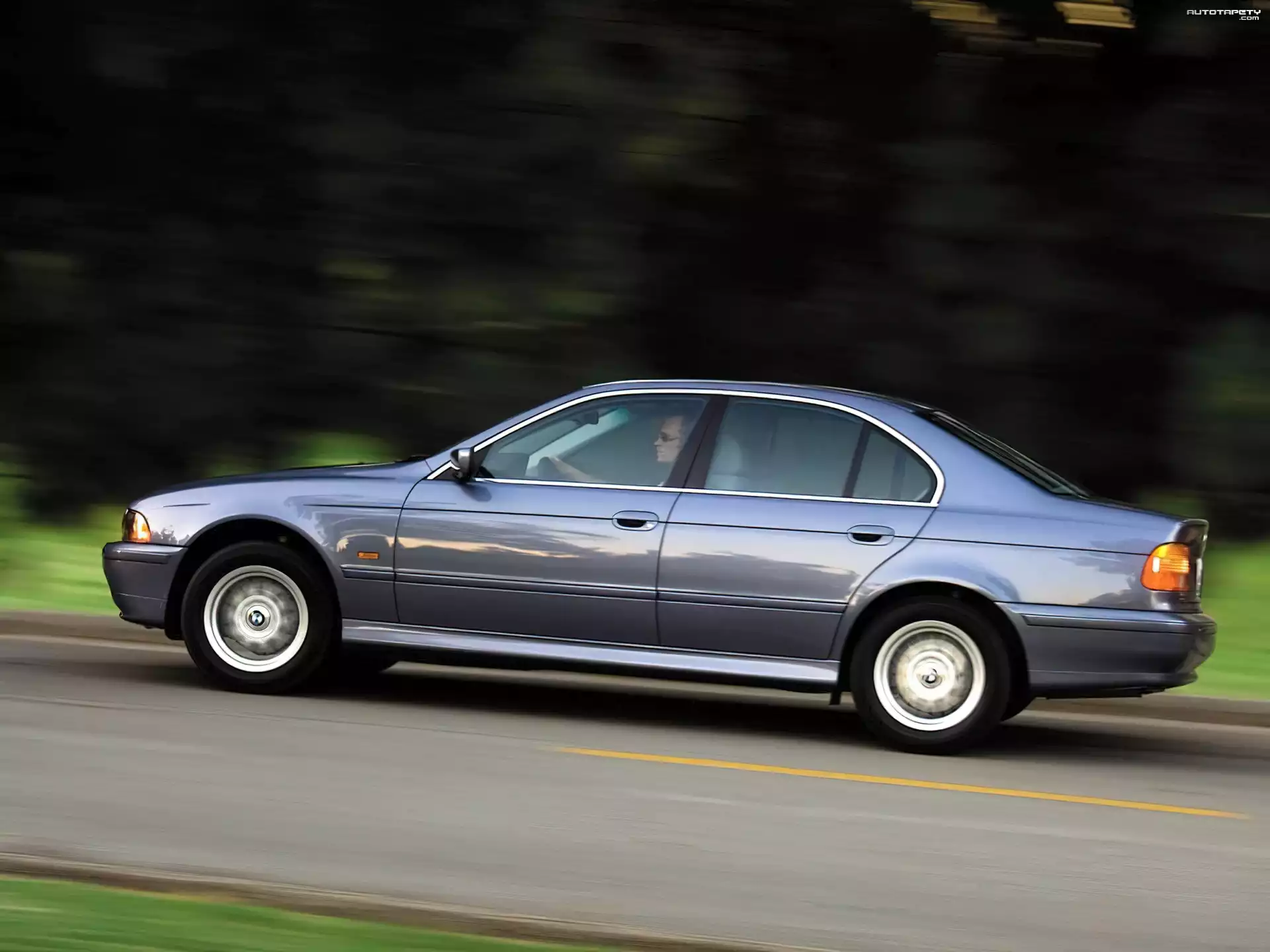 BMW E 39